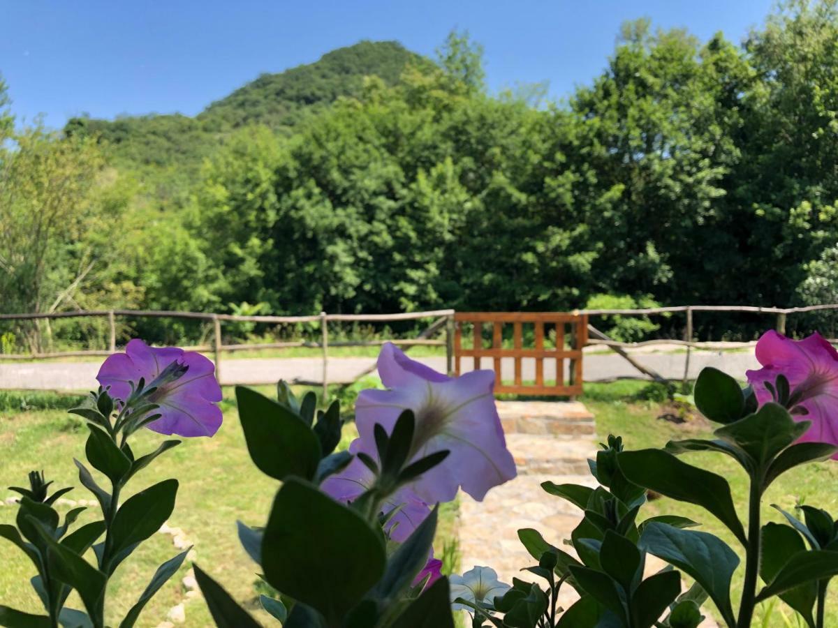 Orahovo Cottages Virpazar Exterior photo